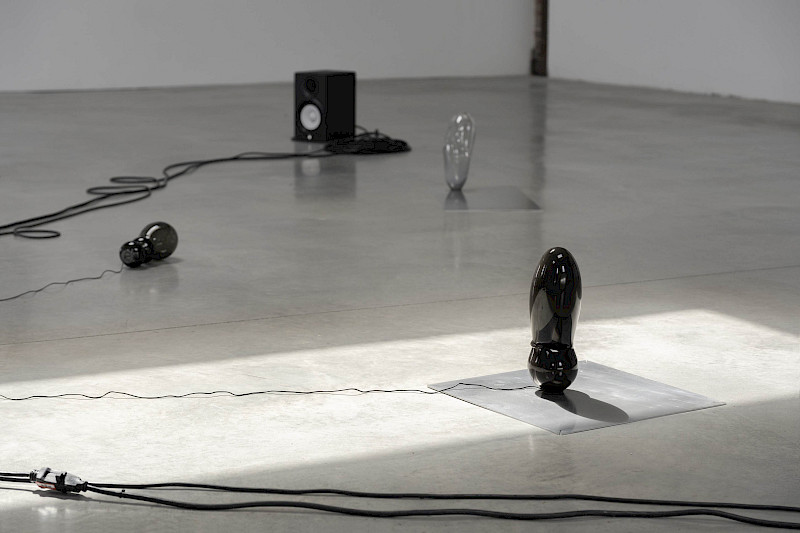 Chantal Michelle A Vulnerable Landscape